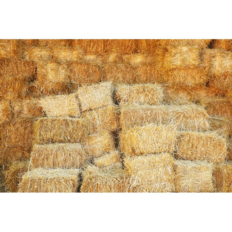 1 Cubic Foot of 100% All Natural Wheat Straw (4lbs)