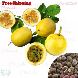 Treevale Yellow Passion Fruit, Passiflora Edulis, Vine Passion Flower Seeds | NON-GMO - 15 Seeds No Tracking