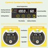 Quail Egg Incubator for Hatching 40 Quail Eggs with Automatic