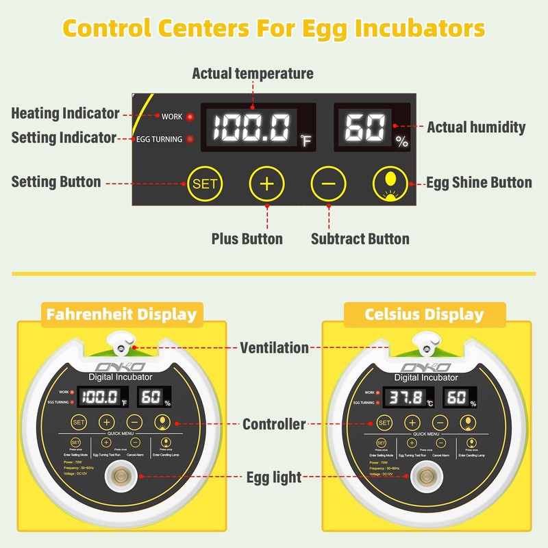 Quail Egg Incubator for Hatching 40 Quail Eggs with Automatic