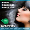 Vegetal Safe Hair Color - Soft Black 50gm - Certified
