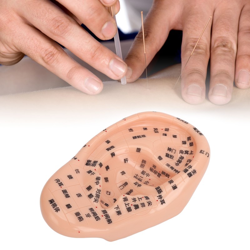 Ear Sticker Acupuncture Kit 600pcs Ear Massage Sticker Acupuncture Model