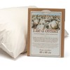 Thousand Percale Pillow Pad 40 x 60 cm