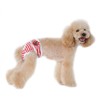 ふく福 ペット犬用 生理 パンツ 犬マナーパンツ 雌犬生理用品 お出かけ 船錨柄 (1個,色ランダム)(L)