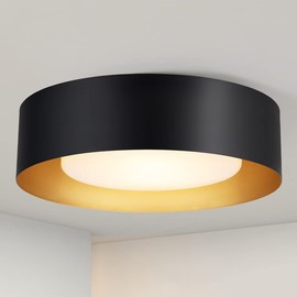 Yiisem Modern Black and Gold Flush Mount Ceiling Lights, 16.5" Minimalist Drum Round Ceiling Lighting, Acrylic Close to Ceiling Light Fixtures for Living Room, Bedroom, Dining Room, Kitchen, Hallways