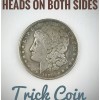 Two Sided 1895 Morgan Double Headed Two Face Magic Trick