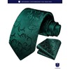 Hisdern TP-01S Men’s Paisley Pattern Necktie and Square Set, Business,