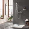 Grohe 26076002 New Tempesta Cosmopolitan 100 2 Spray Shower Rail