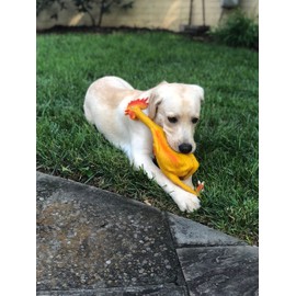 Lanco 8424678024083 Funny Chicken XL 100% Natural Rubber