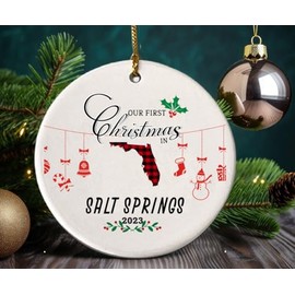 Our First Christmas Ornament 2024 in Salt Springs Florida Ornament Tree Decorations Housewarming New Home Keepsake 3" White