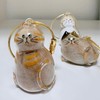 6Pcs Pet Hair Storage Bottles, Pet Commemorative Keychains, Transparent Cat