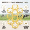 HEEPDD Pack of 10 Calf Weaning Nose Rings, Plastic Weaning