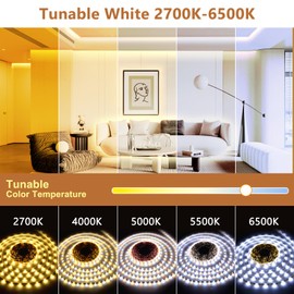 Wefomey White LED Strip Lights, 100ft Dimmable Bright 24V Led Tape Light with Remote and App Control, 2700K-6500K White 1440 LEDs Lights for Bedroom, Kitchen, Ceiling (1 Rolls of 100ft)
