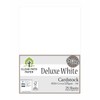 Deluxe White Cardstock - A4-83Lb Cover / 225gsm - 25