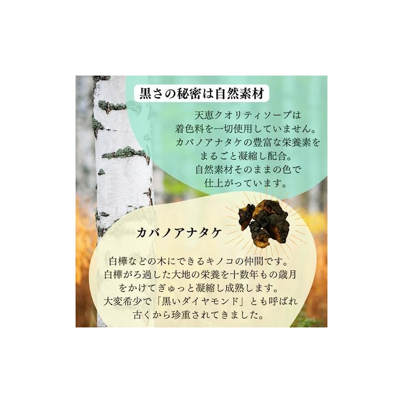 PLUS CARE Blessing Quality Soap (1 Piece)