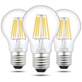 E27 LED Bulb Low Voltage AC/DC 12V-24V Warm White 3000K 6W 600LM A 60 Edison ES Vintage 60W Equivalent CRI 80+ for RV Camper Marine (Pack of 3)