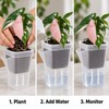 15-Pack Self-Watering Plant Pots for Seedlings and Cuttings – Translucent