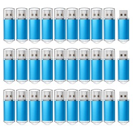 RAOYI 50 Pack 1GB 1G USB Flash Drive USB 2.0 Memory Stick Bulk Thumb Drive Pen Drive Jump Drive-Blue