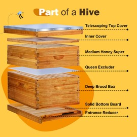 beeknows 10 Frame Langstroth Beehive Kit Dipped in 100% Beeswax Bee Hives with 1 Deep Bee Box and 1 Medium Bee Hive Box with Frame and Foundation(Unassembled)