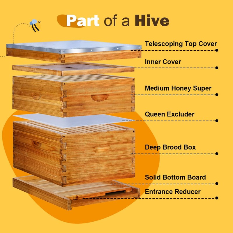 beeknows 10 Frame Langstroth Beehive Kit Dipped in 100% Beeswax