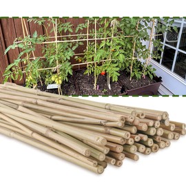 HTWNK 50PC 4 FT NaturalBamboo Sticks Gardening Plant Support Stakes for Indoor Plants, Tomato, Potted Plants…