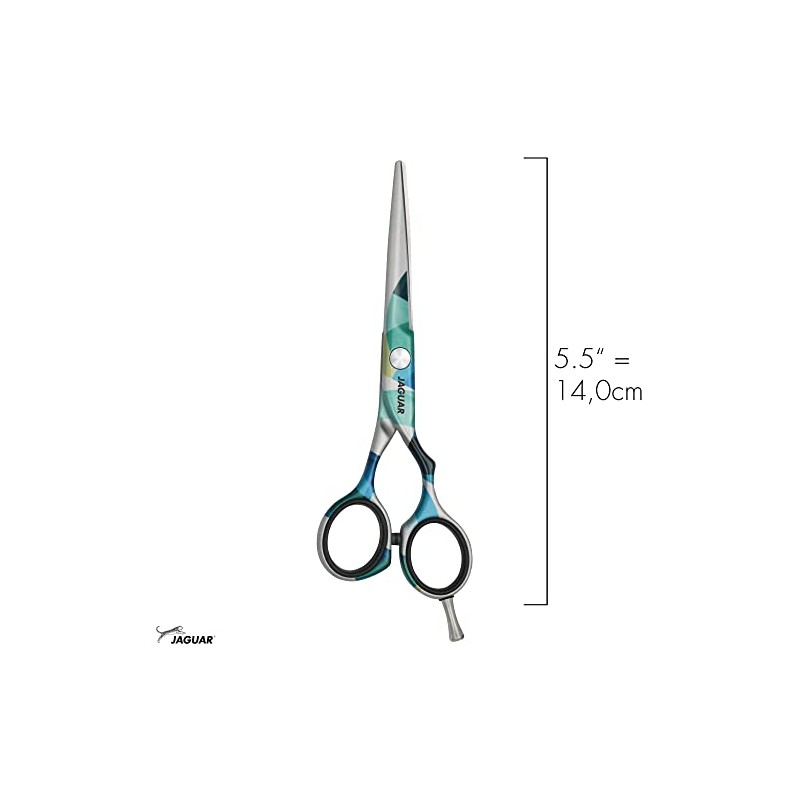 JAGUAR JaguART IN MOTION 5.5 Inch Hairdressing Scissors Offset Design