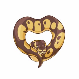Ball Python Heart Snake Decal -Indoor and Outdoor use! (Standard)