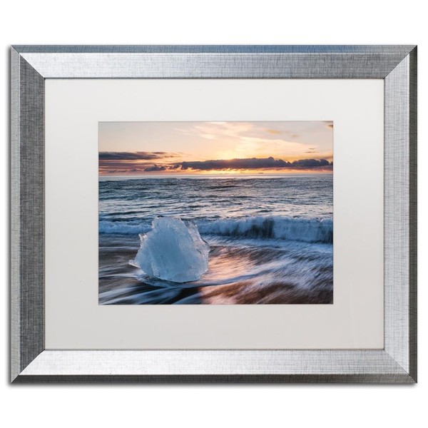 "Crystal Floret" by Michael Blanchette Photography Artwork in White Matte with Silver Frame, 16" x 20"