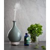 Essential Oil (Double Bottle of 1 oz, Peppermint)