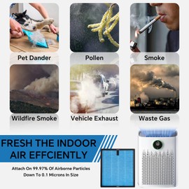 H13 HEPA Air Filter with Activated Carbon - 4 Packs Compatible with ECOSELF HAP603 / HAP603WF Air Purifier, High Efficiency for Dust, Pollen, Formaldehyde & Odor Removal