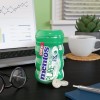 Perfetti van Melle USA Inc. Mentos Pure Fresh Sugar-Free Chewing