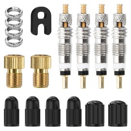 17 Piece Bicycle Valve Set, Presta Valve Core Adapter French Valve Bolts Tool with Protective Caps Complete Set for Bicycles and Mountain Bikes (17)