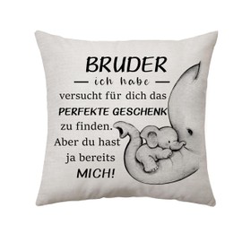 Brother Gift from Sister Brother Cushion Cover Gifts for Brother, Gift Brother Birthday, Best Brother Gifts for Father's Day, Christmas, Birthday Gift (Brother)