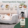 Dog Deodorizer Spray, Pet Odor Eliminator Dog Deodorizing Spray –