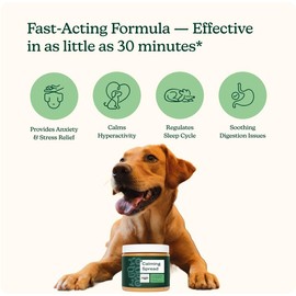 Reggie Calming Spread for Dogs with L-Theanine & Melatonin + Mint Green Lick Mat | Natural Peanut Butter Dog Anxiety Relief Bundle for Separation Anxiety, Thunderstorms, Travel & Stress | 30 Servings