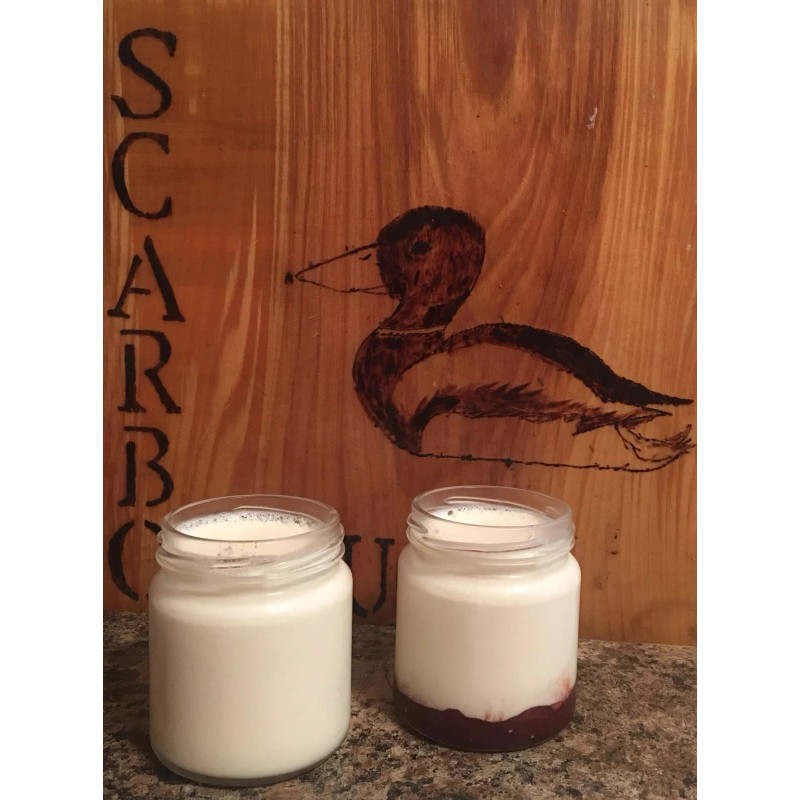 Homemade Yogurt Starter Culture Kit