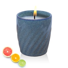 Scented Candle – Bauton Milling Fresh Citrus Candle 12 oz – Long-Lasting Highly Scented Soy Wax Blend Spring Candles for Home - Twilight Coast Blue