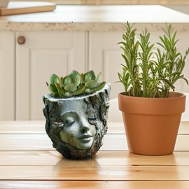 Face Planter - Lady Head Planter Face Pot Statue - Resin Cute Vase Container Home Decor, Garden Statues for Indoor Outdoor Yard Lawn Patio Garden Coffee Table