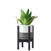 D'vine Dev Ceramic Planter with Ebony Stand - 8 Inch