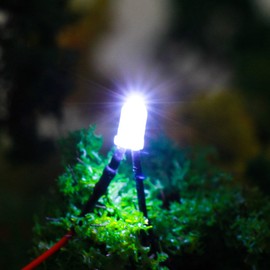 Evemodel L125W 20pcs Pre Wired 5mm Bright White Led Lamp Light Set 12V ~ 18V for Train Layout NEW