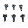 6 ea. Torx Screws for The Hood Hinges Compatible with