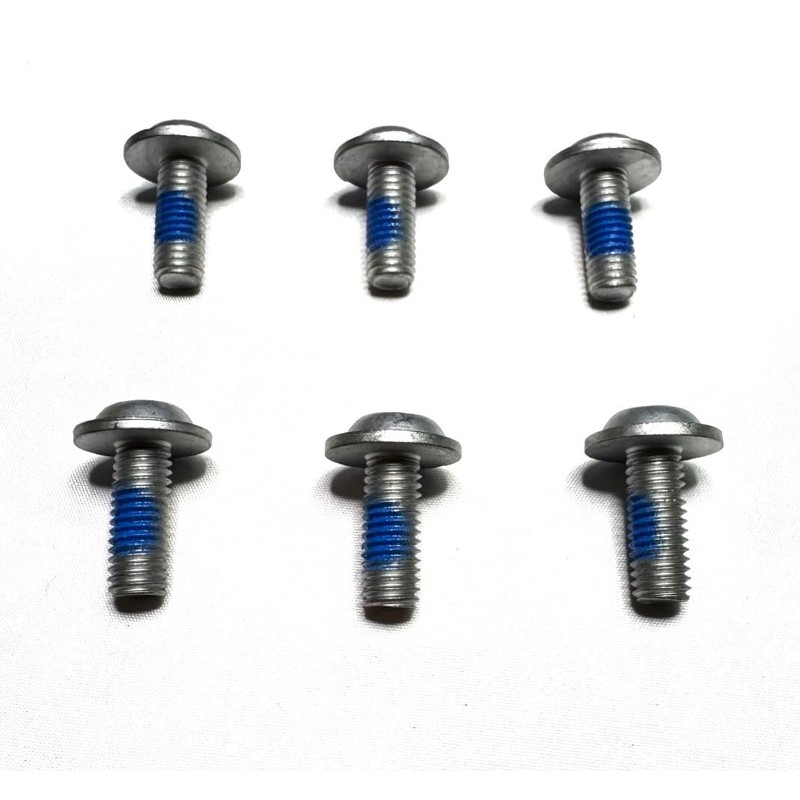 6 ea. Torx Screws for The Hood Hinges Compatible with