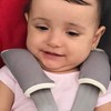 DorDor & GorGor Organic Baby Seat Belt Cushion, Extra Plush,