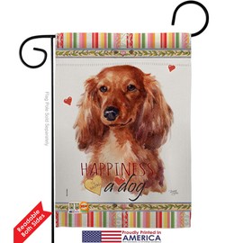 Long Hair Dachshund Happiness Garden Flag Set Wall Holder Animals Puppy Spoiled Paw Canine Fur Pet Nature Farm Animal Creature Small Gift Yard House Banner Double-Sided Made In USA 13 X 18.5