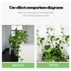 iTYOOS Pack of 100 Plant Clips, Wall Plant Clips, Wall