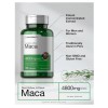 Horbäach Maca Root Capsules 4800 mg | 120 Pills |