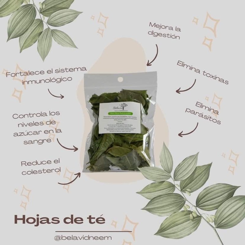 Neem Extracto 50ml y Hojas Deshidratadas 21g