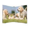 Herma 19358 Ring Binder DIN A4 Cardboard Animals Series 4
