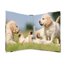 Herma 19358 Ring Binder DIN A4 Cardboard Animals Series 4 Rings 35 mm Spine Width 1 Slim Folder 2 Ringe Dog