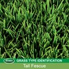 Scotts EZ Seed Patch & Repair Tall Fescue Lawns Combination